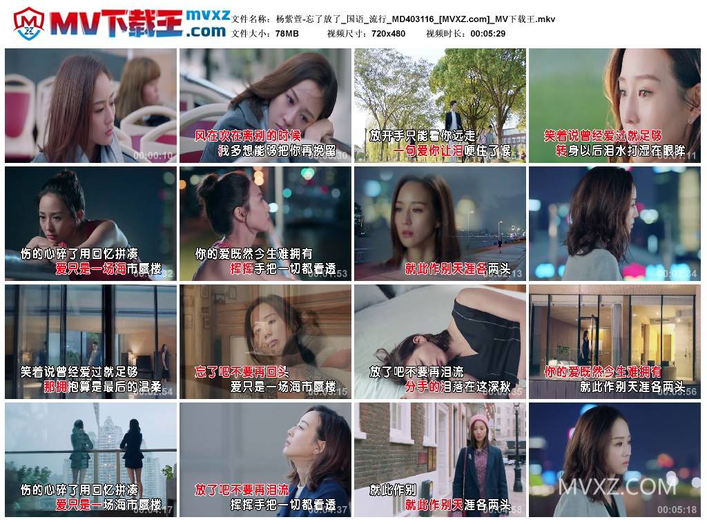 杨紫萱-忘了放了_国语_流行_MD403116